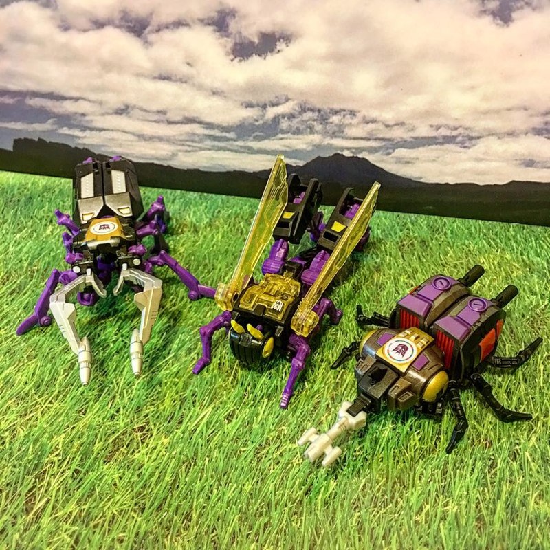 Titans Return Kickback Legends Insecticon In Hand Photos